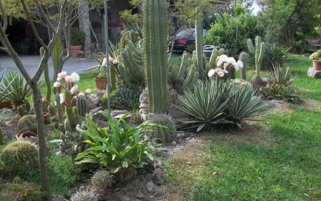 Il Vecchioliveto di Ornella