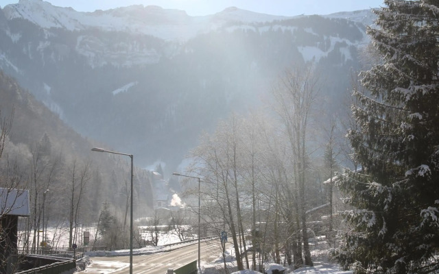 Apartment Bergblick-Mellau