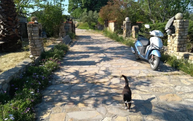 Anemon Ozdemir Bag Evi