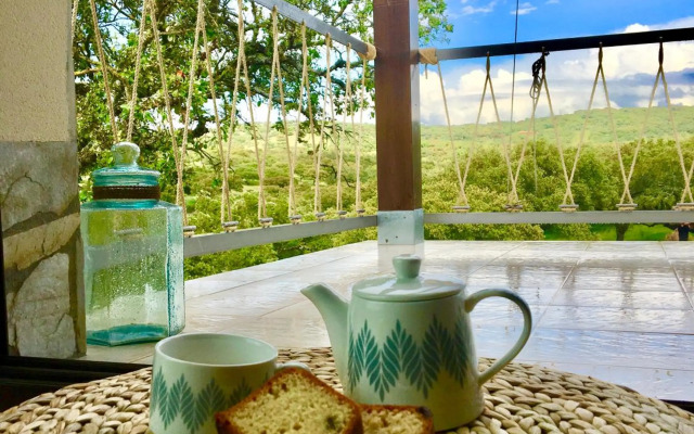 La Siesta del Naranjo