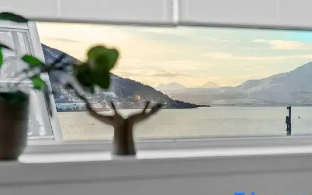 Scandinavian Bliss By Paramount