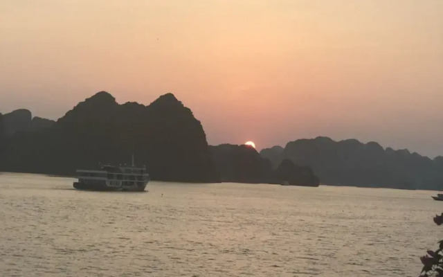 Apricot President Cruise