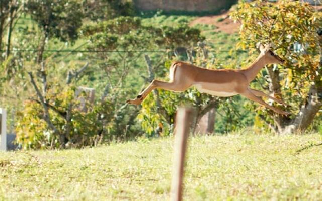 Matusadona Guest Lodge