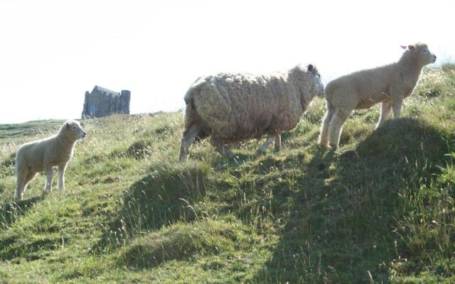 The Cottage Abbotsbury