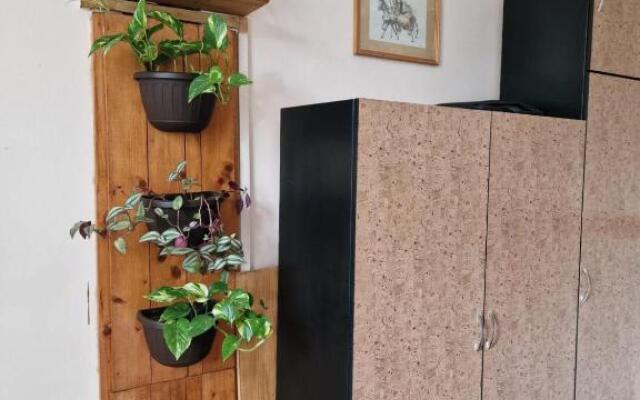 Apartament Ultracentral 2 Piata Muzeului Cluj-Napoca