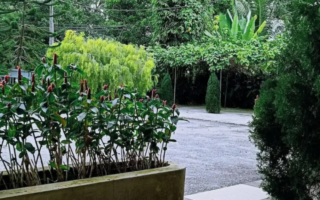 Villa 223