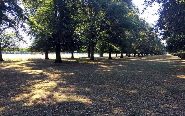 Old Station Gardens