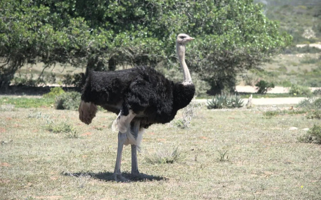 Melkkamer Manor House