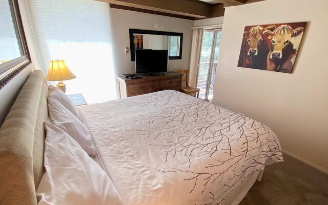 #109 Vail International