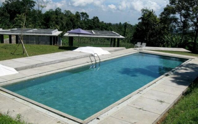 Tea Garden Resort