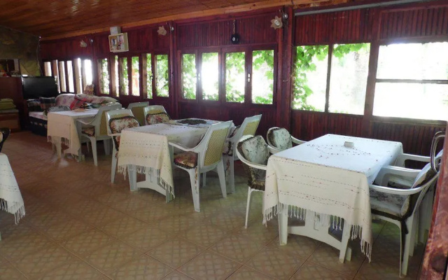 Olympos Yavuz