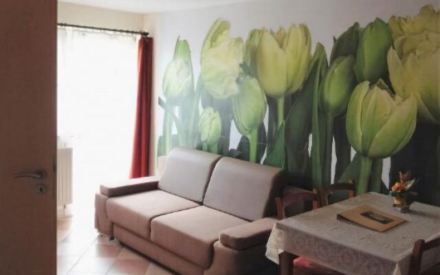 Anita Apartman Sopron