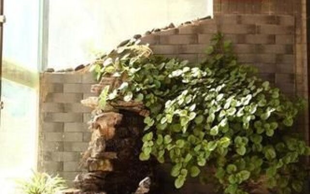 Xiang Yue Apartment Hotel- Chenggong