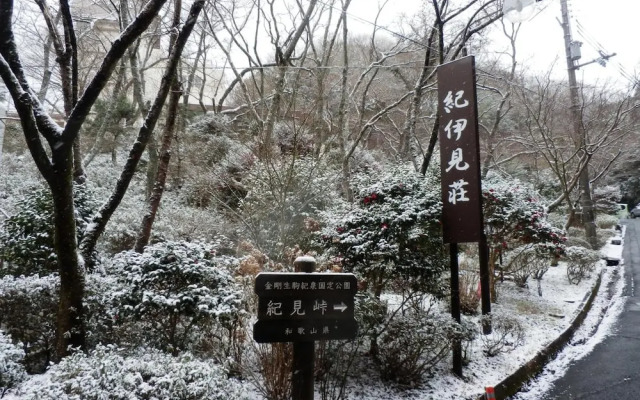 Kiimiso