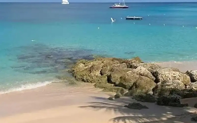 The Art Studio 12 Beachfront Apartment Barbados