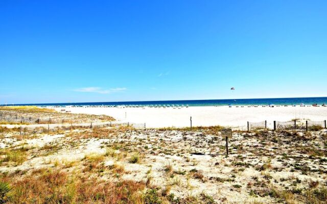 The Palms 102 by RedAwning