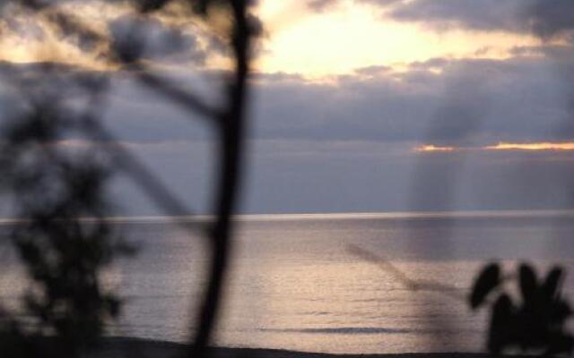 Vacanze Toscane In The Country