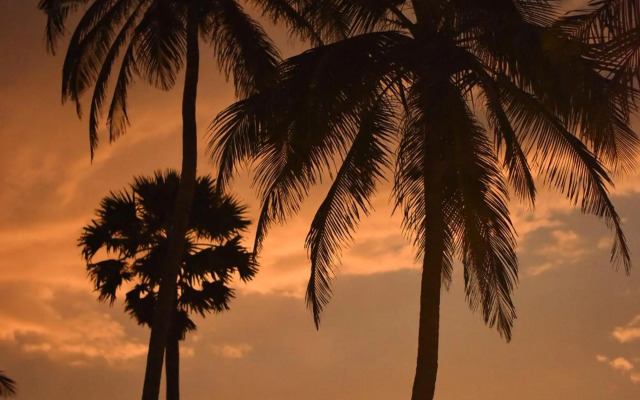 Horizon Kite Surfing Beach Resort