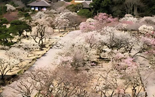 Mimatsu Annex
