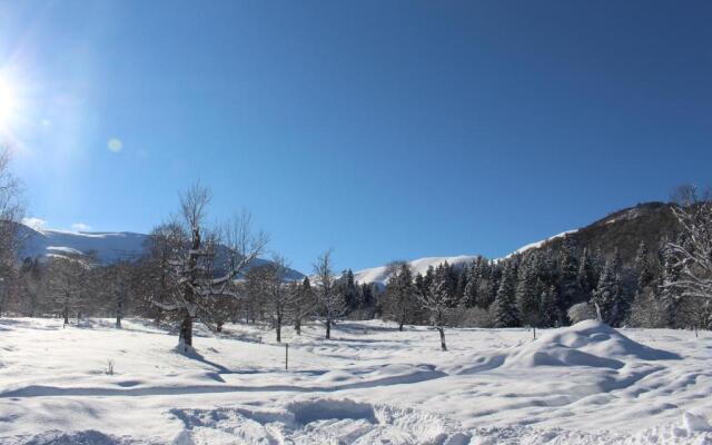 Mountain Villa Didveli