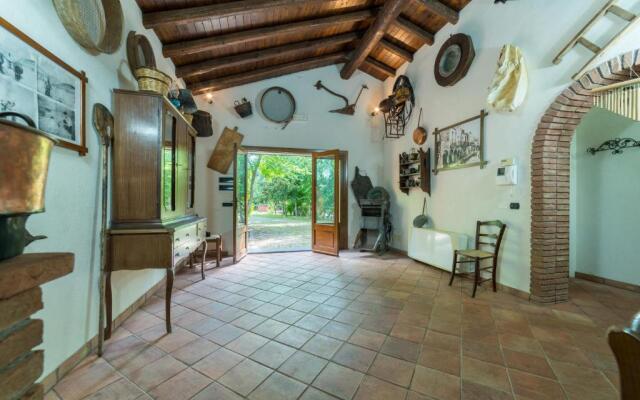 Il Castagno dell'Etna