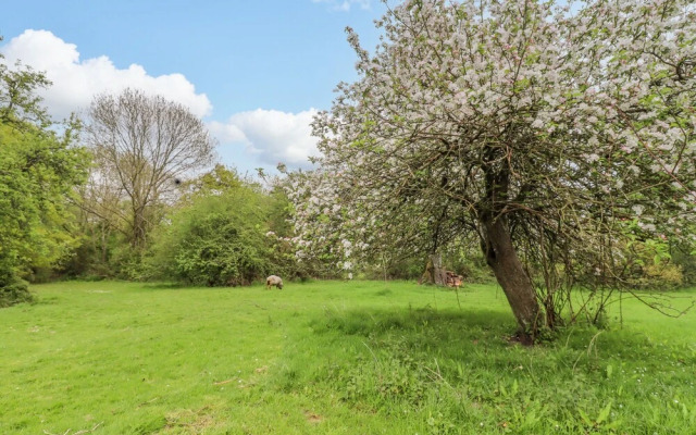 Meadow Lodge @ Berrys Place Farm