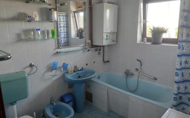 Apartment Viktorija
