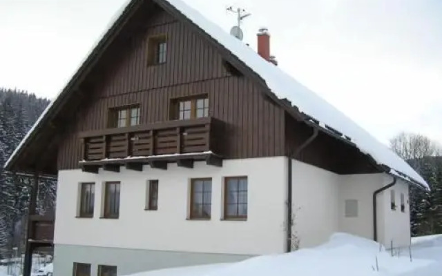 Pension Vlasta