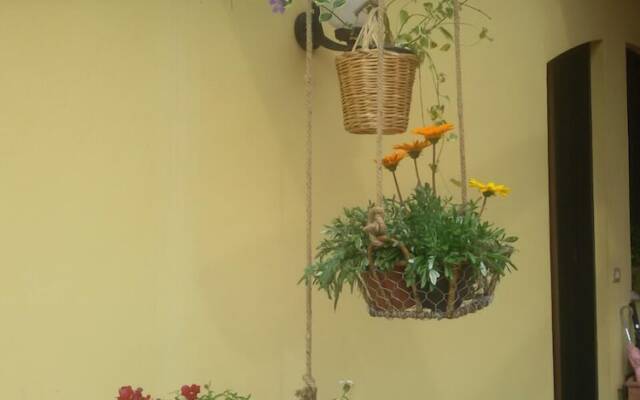 Pietra & Glicine Guest House