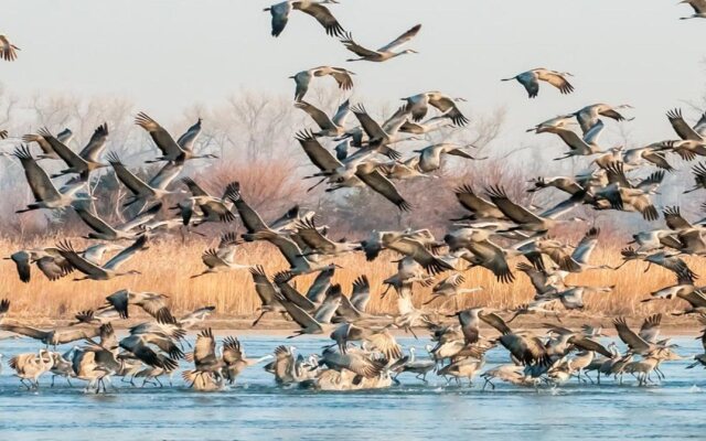 Holiday Inn Express Kearney