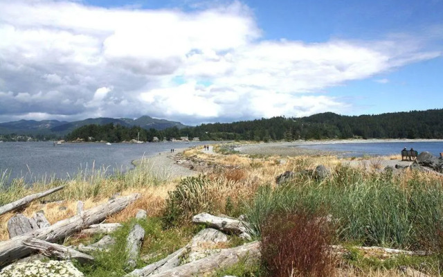 Seagull Studio Vacation Guest Suite