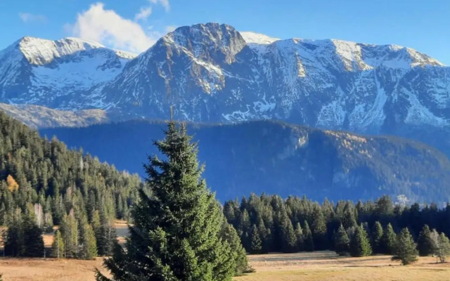 Serene Alpine Stay for 6 Guests