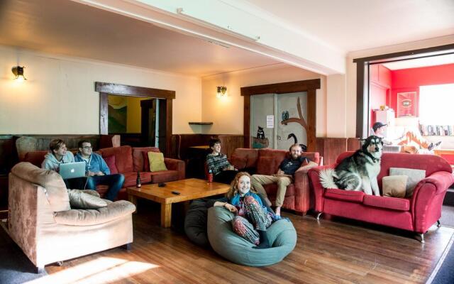 The Pickled Frog - Hostel