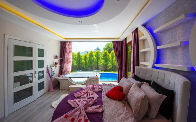 Terra Pi̇ne