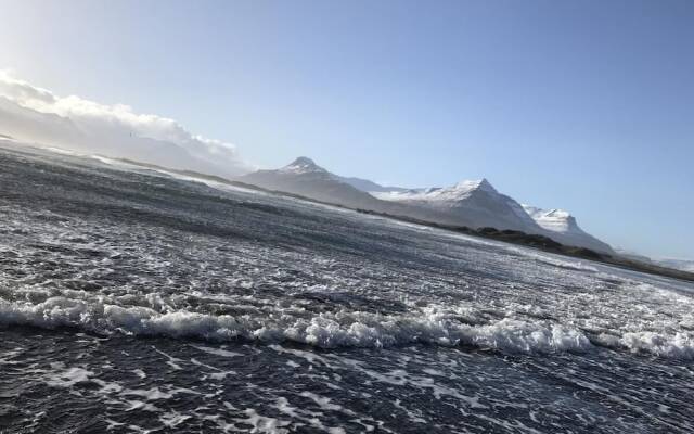 Framtid Camping Lodging Barrels