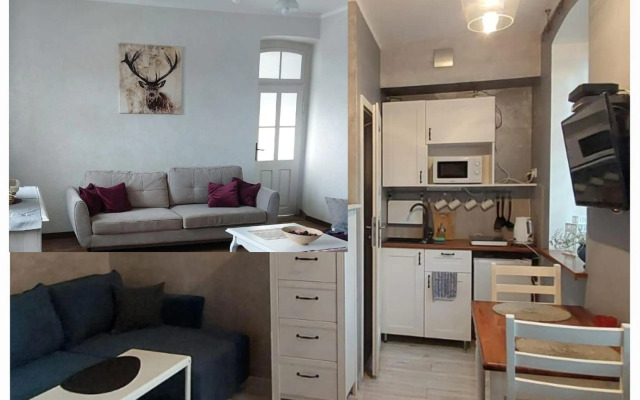 Apartamenty u Rzepióra