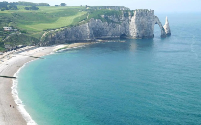 Les nids des falaises