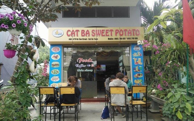 Cat Ba Sweet Potato