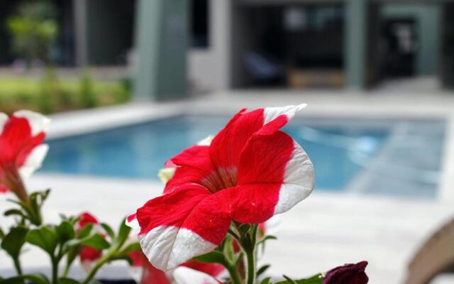 The Guesthouse 6 on Vrede