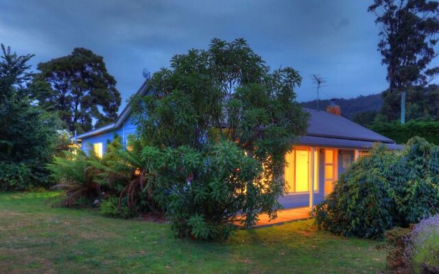 Castaway Cottage - Essentially Tas