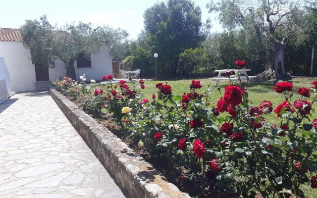 Marios Garden House