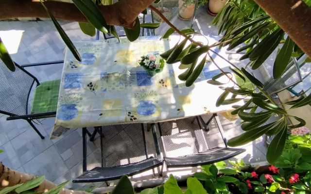 Apartment Zore