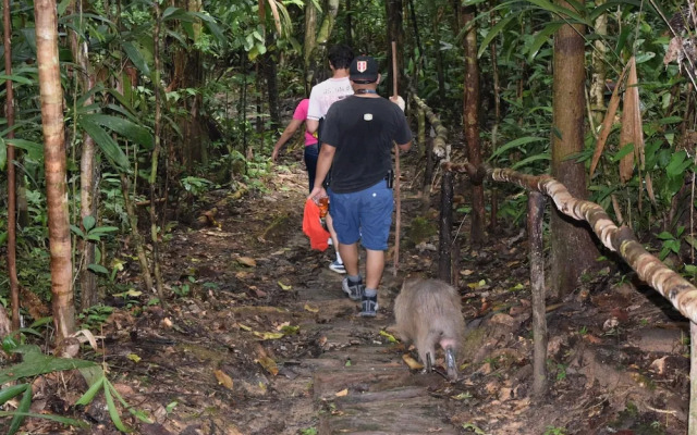 ExplorNapo Lodge