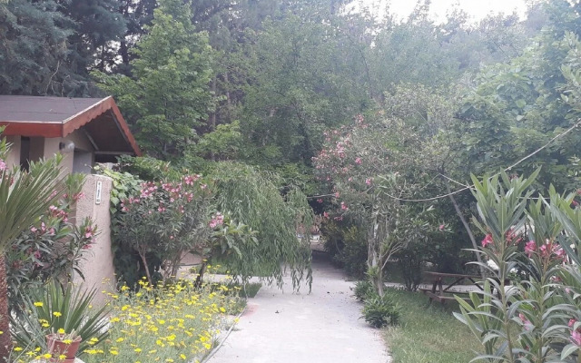 Cukurvadi Thermal Hotel
