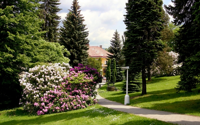 Spa Resort Libverda - Hotel Novy Dum