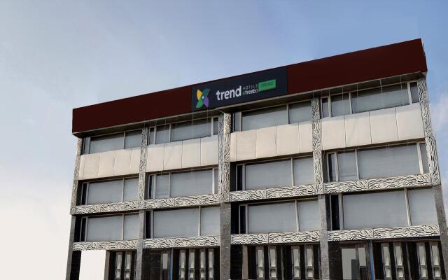 Treebo Trend Dreamz