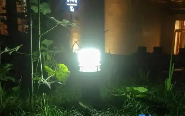 Zhangjiajie Yunshangde Jia Qianzhutang Homestay