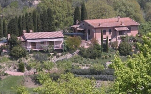 Verdidea - Podere della Bruciata