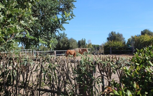 Santa Igia B&B - Country House