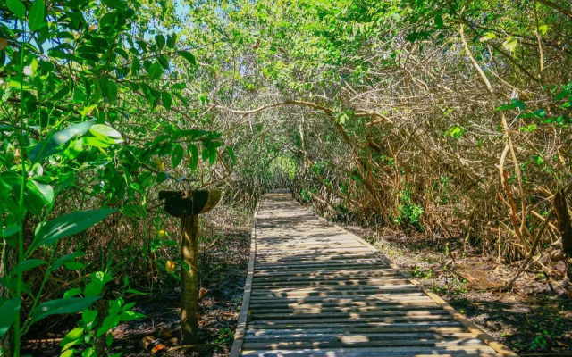 Pousada Ecologica Bangalo de Praia